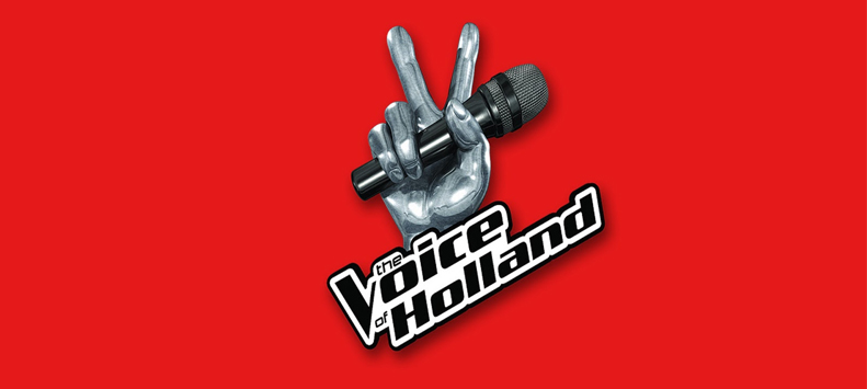 thevoicelogo18082012.jpg